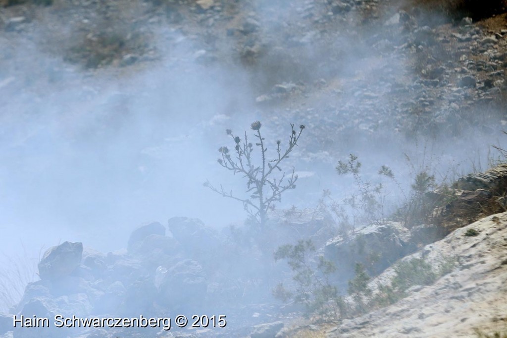 Nabi Saleh 21/08/2015 | IMG_1436