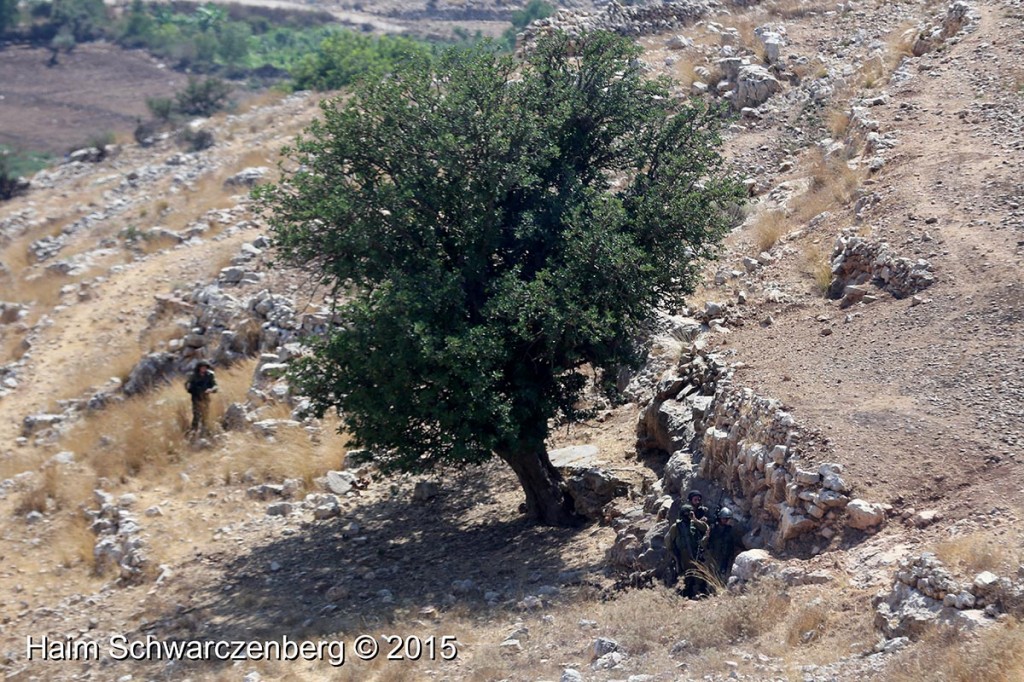 Nabi Saleh 21/08/2015 | IMG_1470