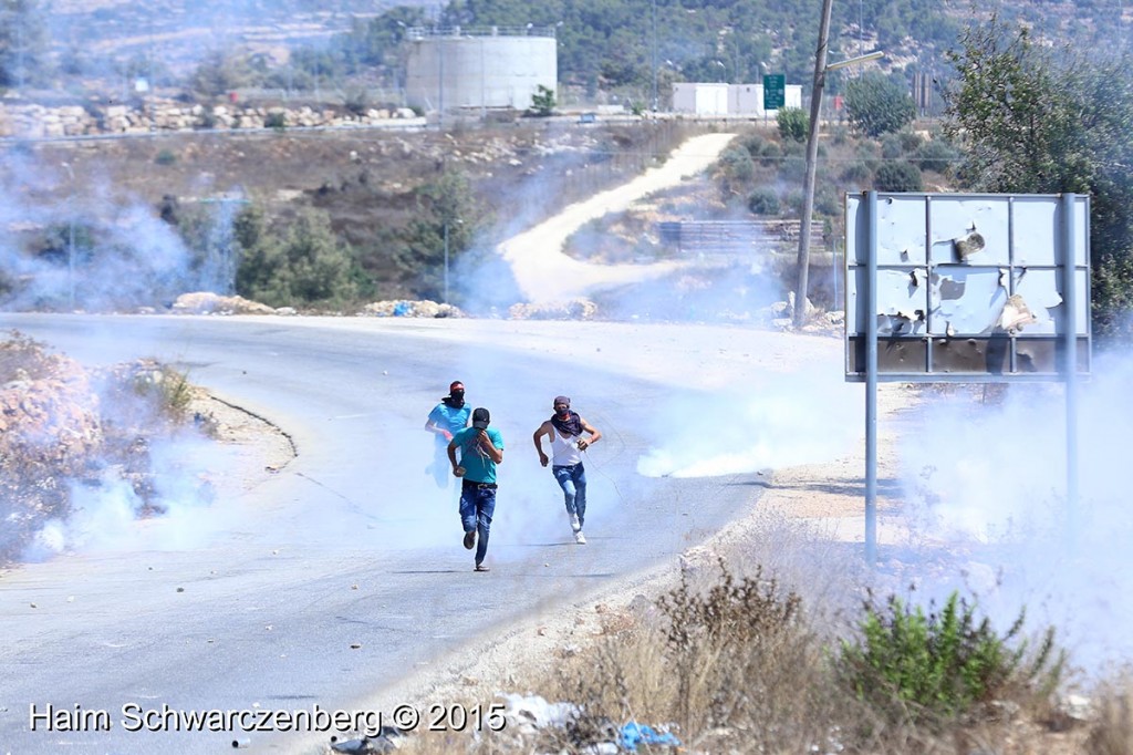 Nabi Saleh 28/08/2015 | IMG_3312