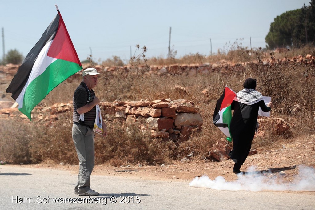 Nabi Saleh 14/08/2015 | IMG_9170