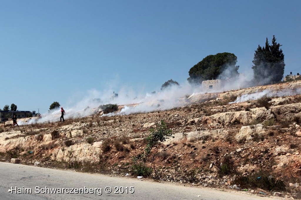 Nabi Saleh 21/08/2015 | IMG_9354