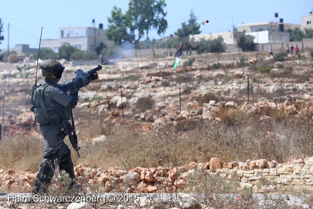 Nabi Saleh 14/08/2015 | IMG_9686