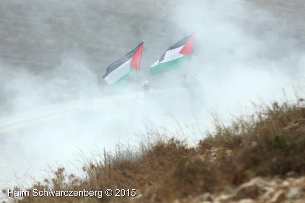 Nabi Saleh 11/09/2015 | IMG_4868