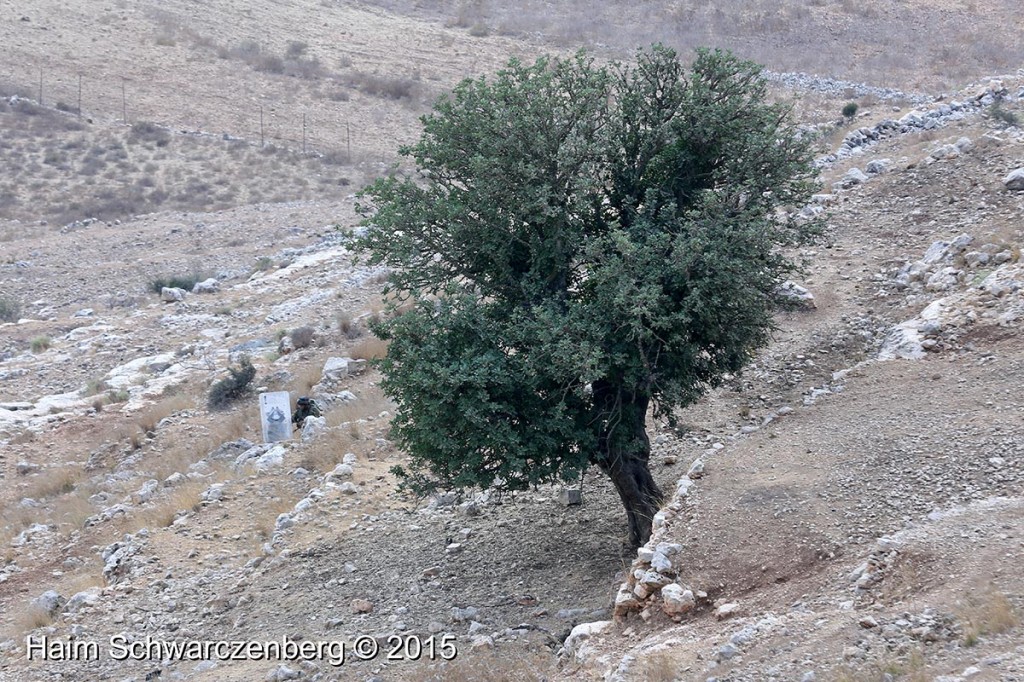 Nabi Saleh 02/10/2015 | IMG_6393
