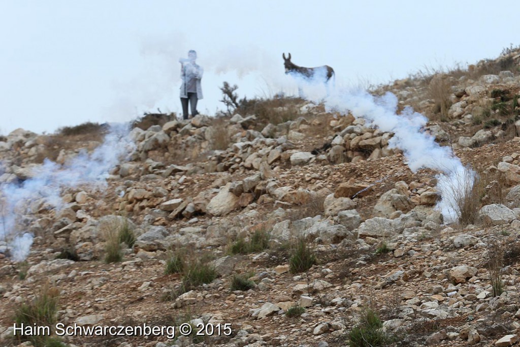 Nabi Saleh 23/10/2015 | IMG_7713