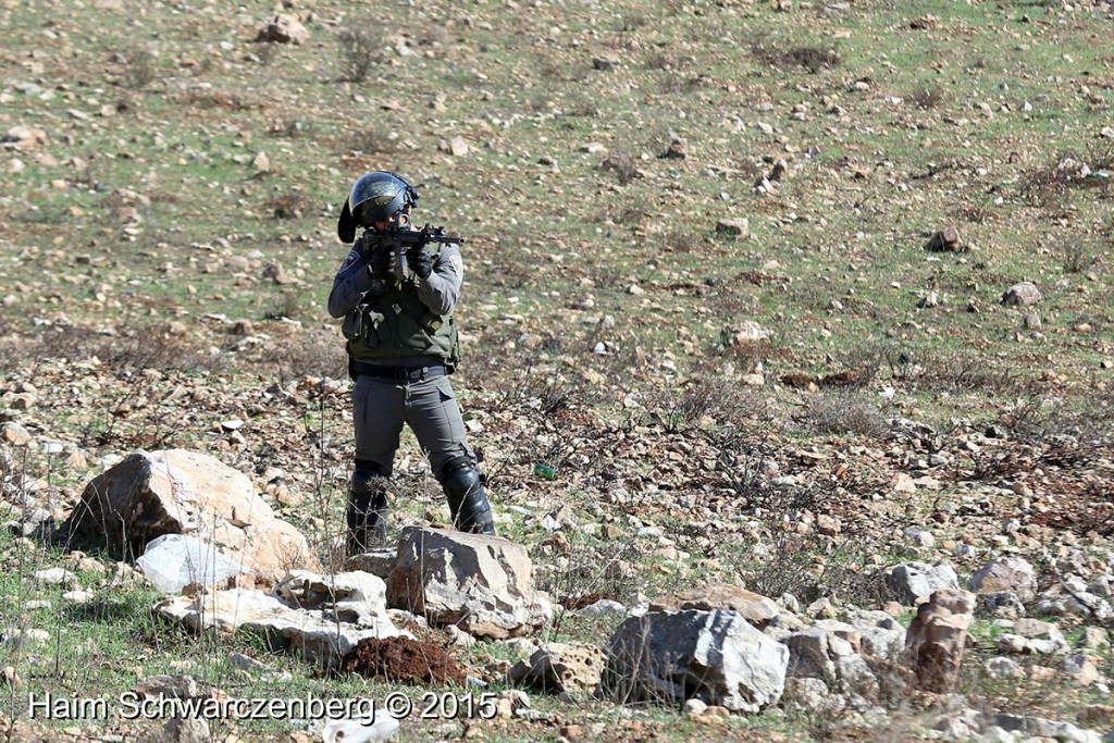 Nabi Saleh 13/11/2015 | IMG_0311