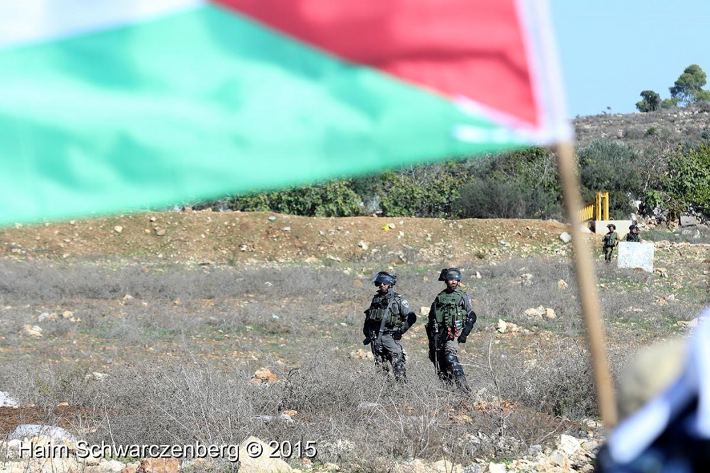 Nabi Saleh 13/11/2015 | IMG_0351