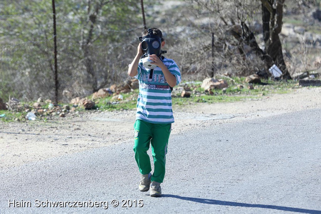 Nabi Saleh 13/11/2015 | IMG_0458