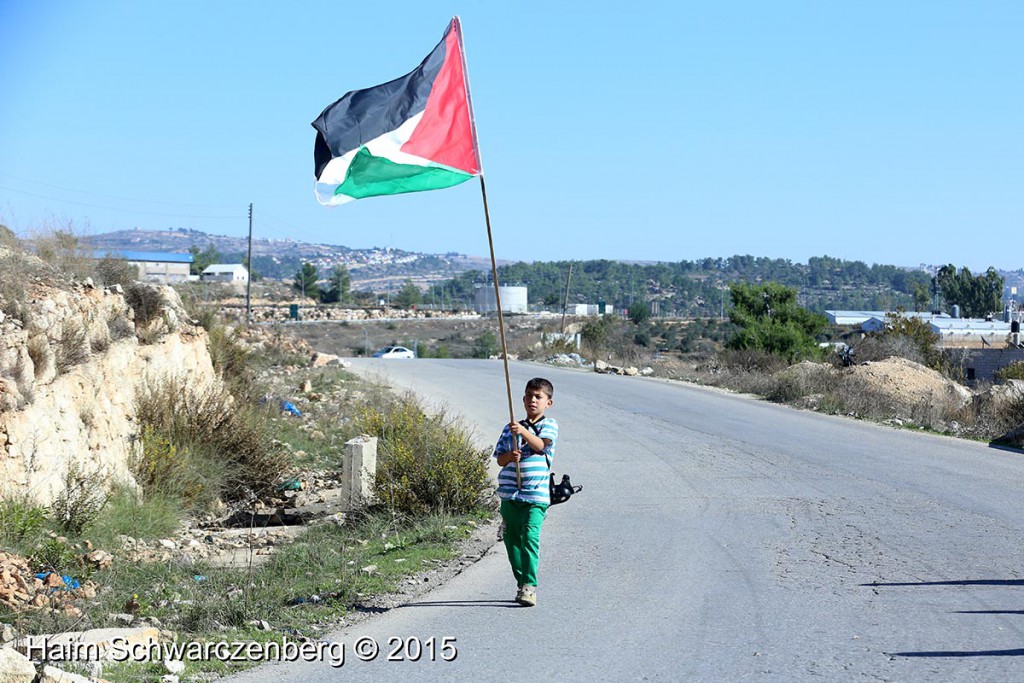 Nabi Saleh 13/11/2015 | IMG_0462