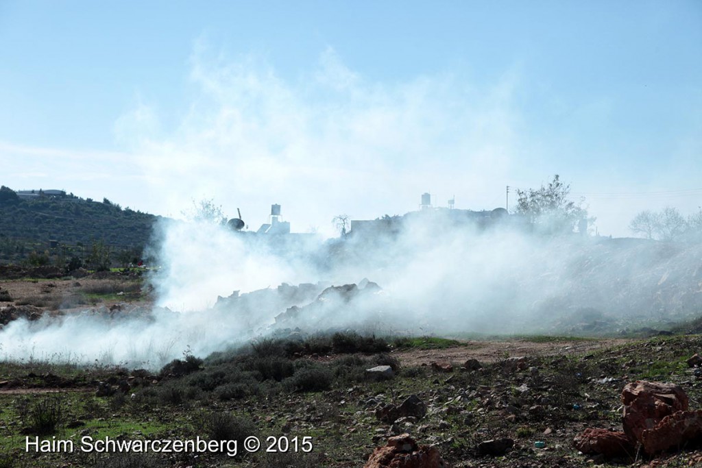 Nabi Saleh 20/11/2015 | IMG_0494