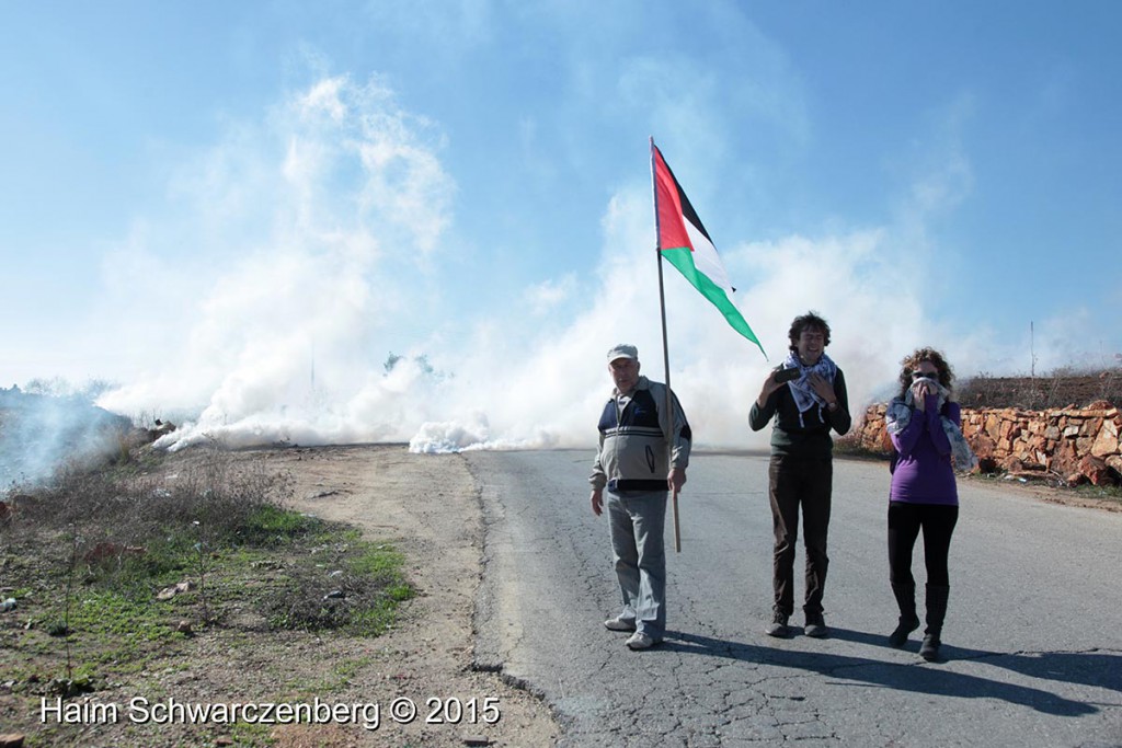 Nabi Saleh 20/11/2015 | IMG_0506