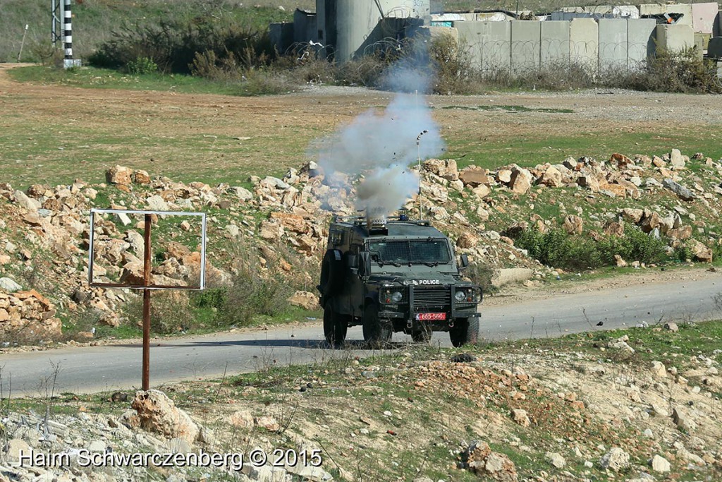 Nabi Saleh 27/11/2015 | IMG_1424