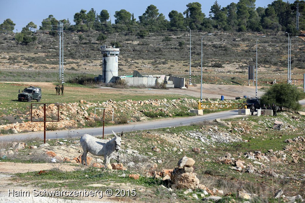 Nabi Saleh 11/12/2015 | IMG_3008