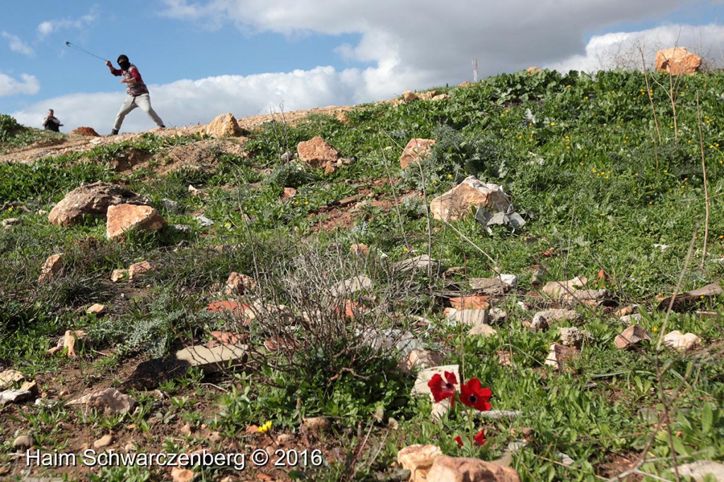 Nabi Saleh 15/01/2016 | IMG_1345