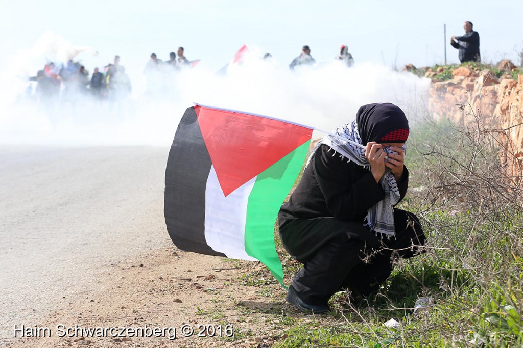 Nabi Saleh 22/01/2016 | IMG_7622