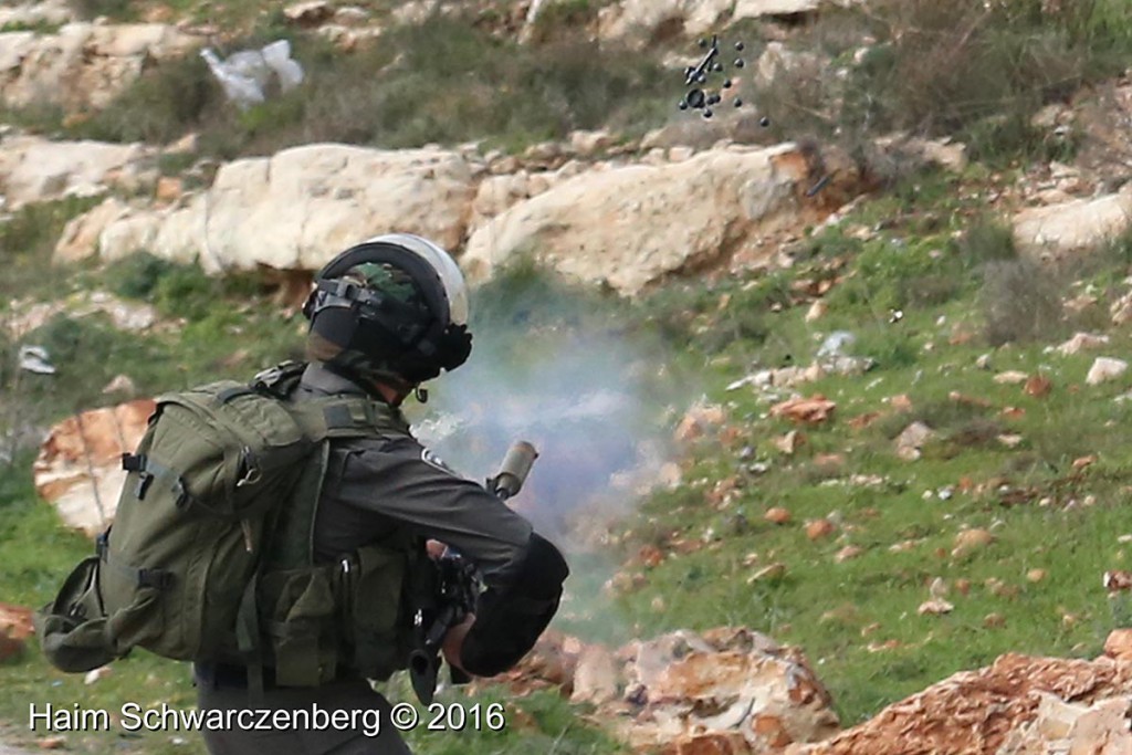 Nabi Saleh 29/01/2016 | IMG_8586-2