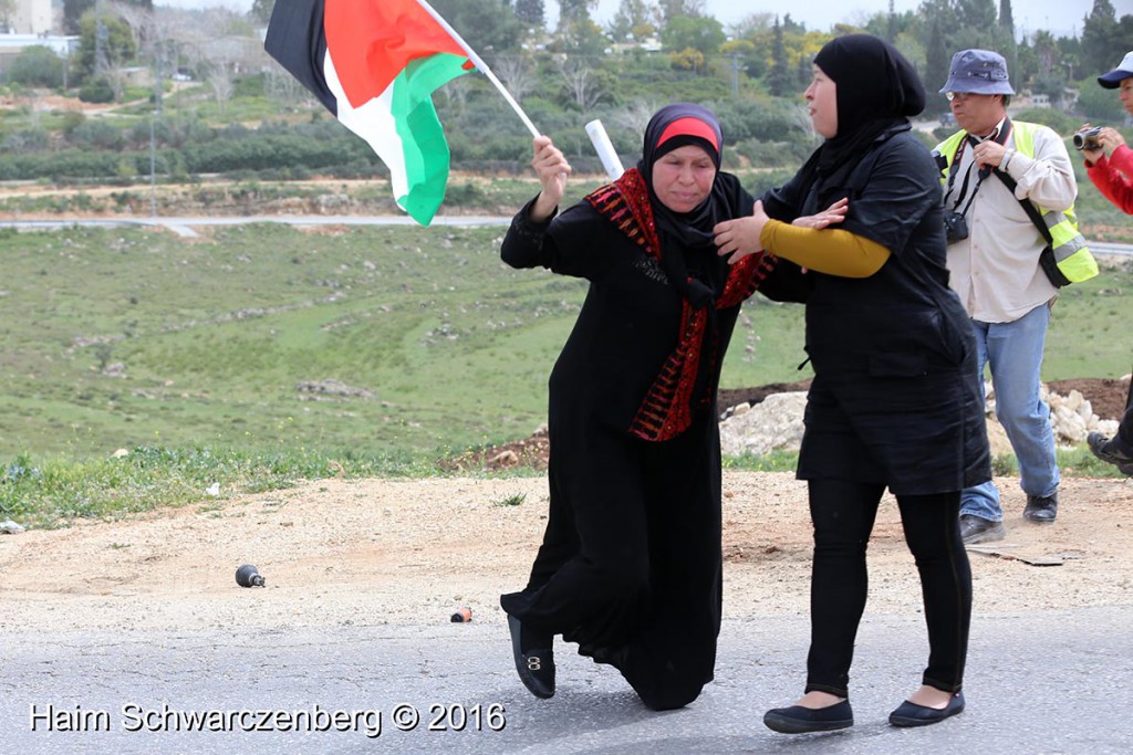 Nabi Saleh 25/03/2016 | IMG_4185