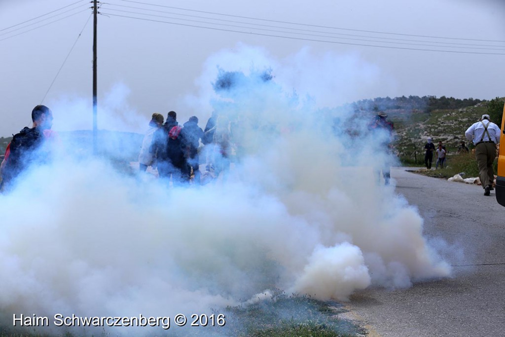 Nabi Saleh 25/03/2016 | IMG_4211