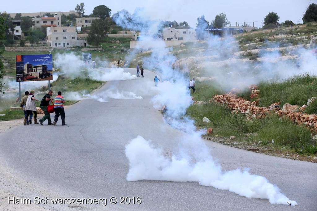 Nabi Saleh 25/03/2016 | IMG_4285