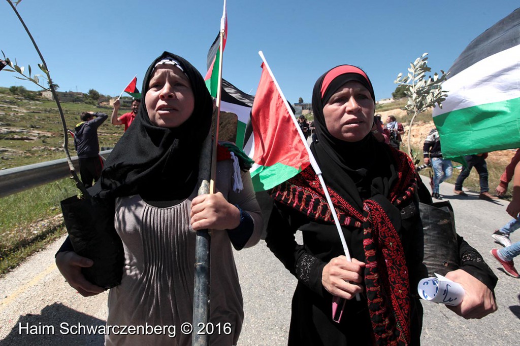 Nabi Saleh 01/04/2016 | IMG_2879