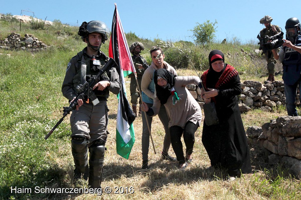 Nabi Saleh 01/04/2016 | IMG_2925