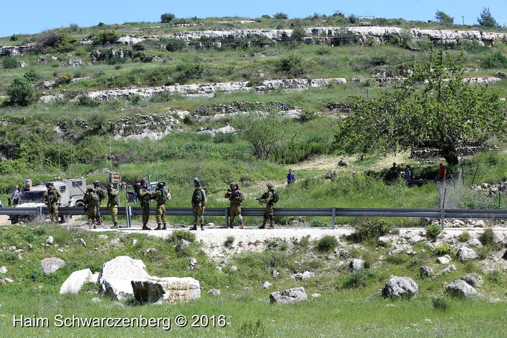 Nabi Saleh 01/04/2016 | IMG_4981