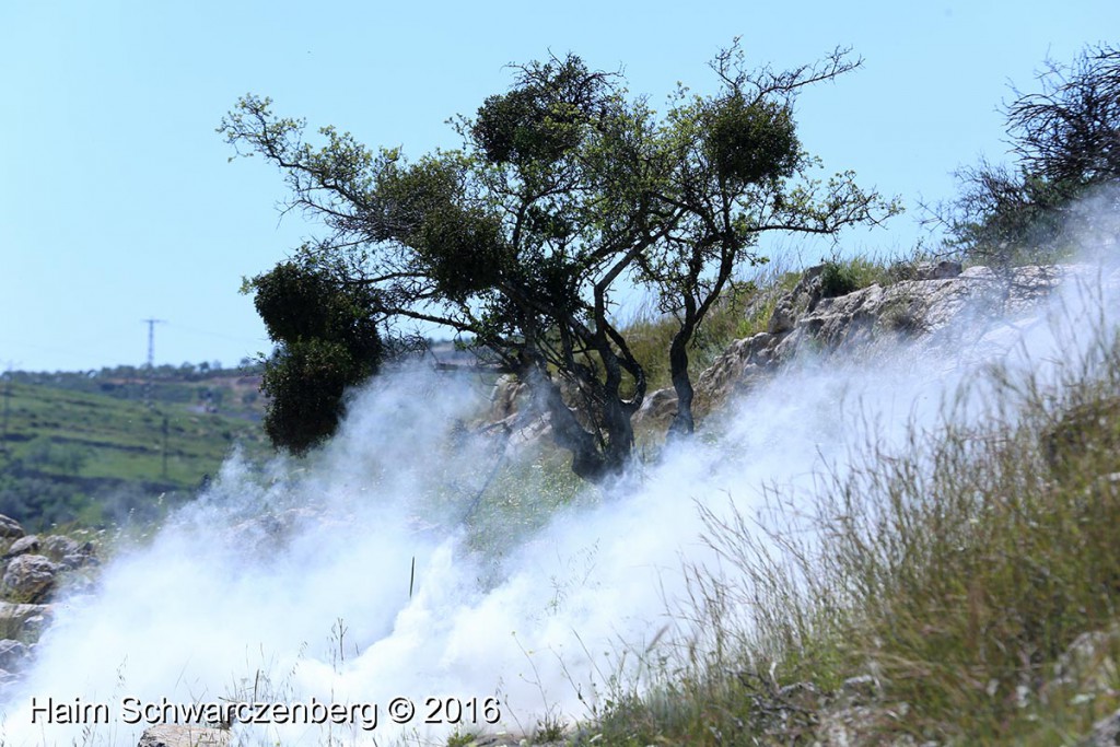 Nabi Saleh 01/04/2016 | IMG_5032