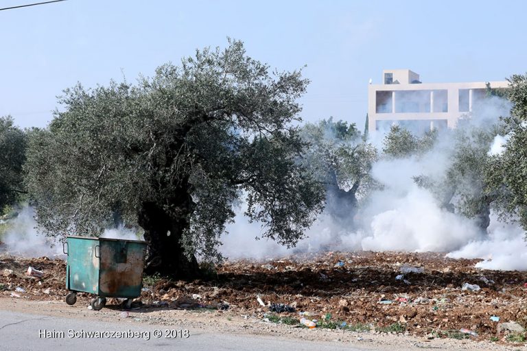 Nabi Saleh 06/04/2018 | FW7A5290