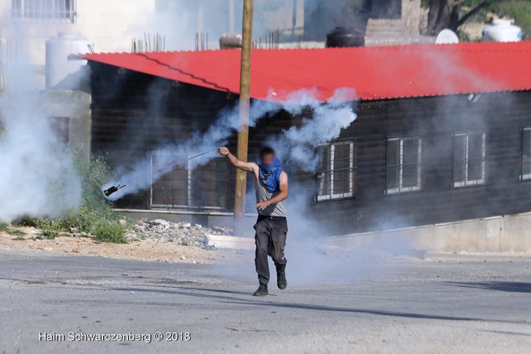 Nabi Saleh 06/04/2018 | FW7A5303