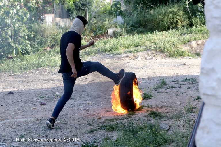 Nabi Saleh 06/04/2018 | FW7A5669