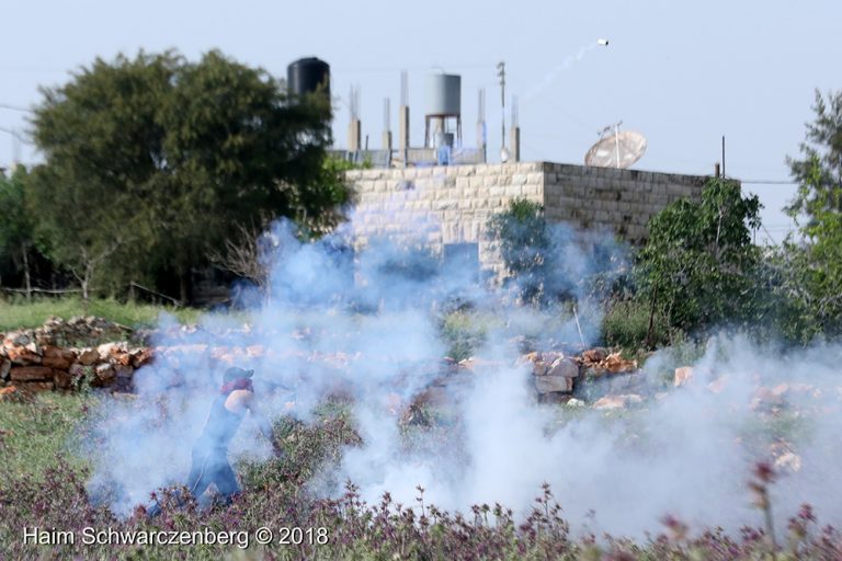 Nabi Saleh 13/04/2018 | FW7A6959