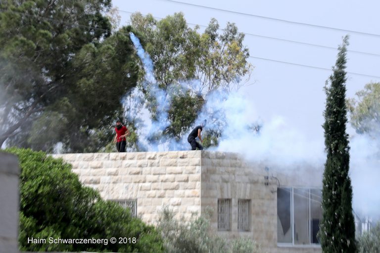 Nabi Saleh 20/04/2018 | FW7A7528