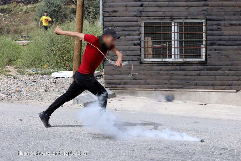 Nabi Saleh 20/04/2018 | FW7A7748