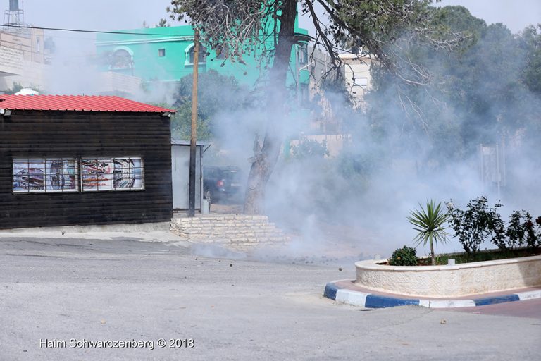 Nabi Saleh 20/04/2018 | FW7A7858