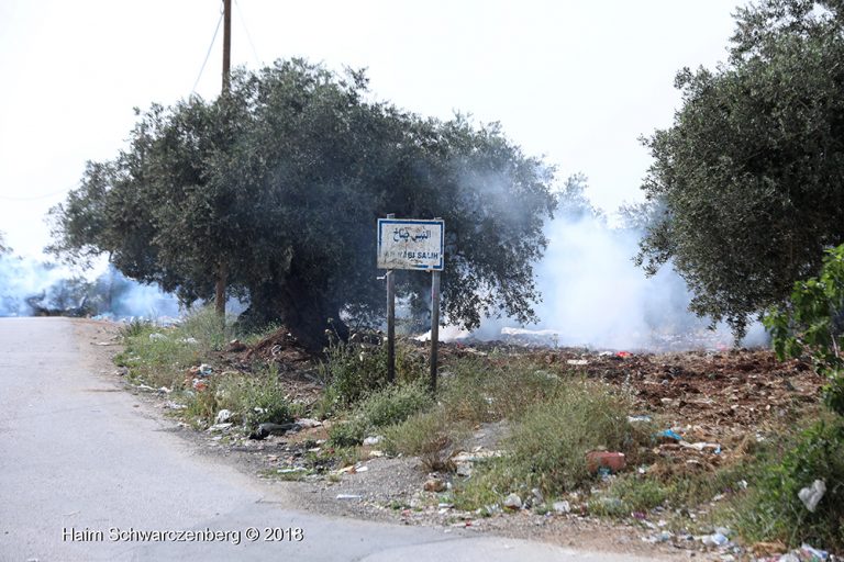 Nabi Saleh 20/04/2018 | FW7A7878