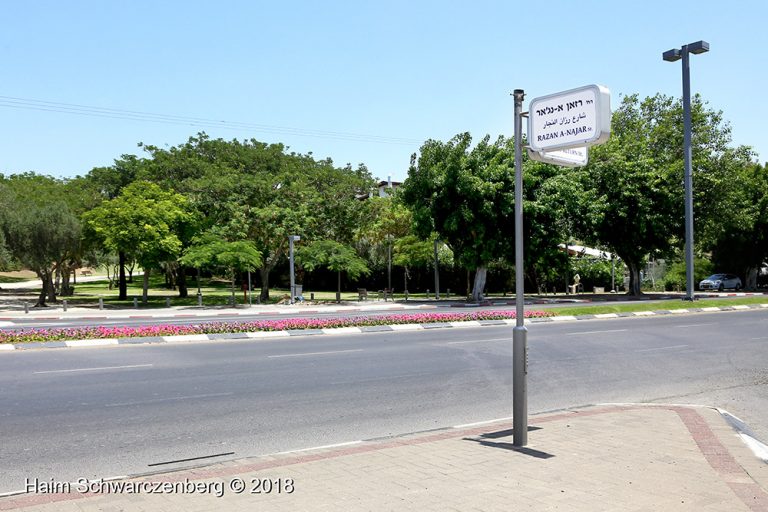 Activists changed the name of streets  In advance of a memorial ceremony for Razan Al-Najar 03/07/2018 | IMG_3607