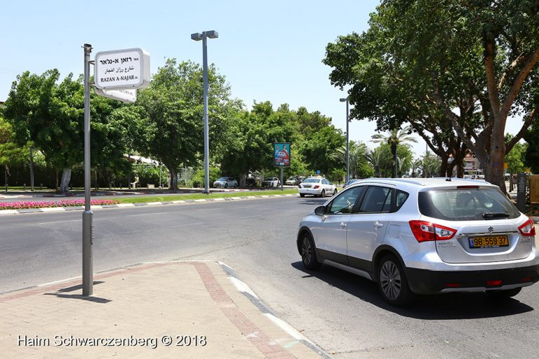 Activists changed the name of streets  In advance of a memorial ceremony for Razan Al-Najar 03/07/2018 | IMG_3612